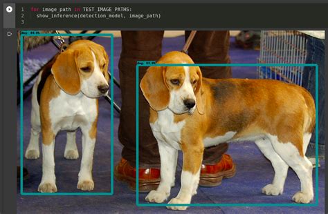 Tensorflow Object Detection Tutorial 的图像结果