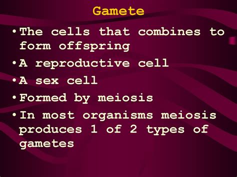 Image result for Gamete Example