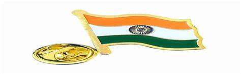 Buy Indian Flag Lapel Pin Gold-Plated Brass | Brooch Flag Pin | Pin a ...