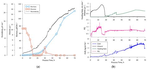 Performance of Recombinant Komagataella phaffii in Plant-Based Meat ...