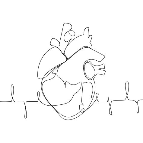 Human Heart Drawing Outline