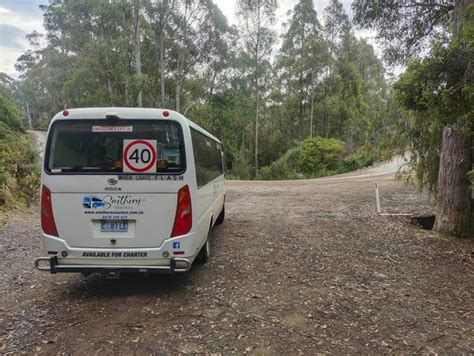 Southern Coaches - Charter Bus, Transportation