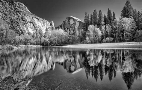Wallpaper trees, reflection, river, rocks, Merced River for mobile and ...