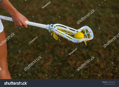 Lacrosse 的图像结果