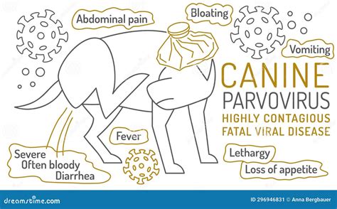 When Do Dogs Start Showing Signs Of Parvo at Candice Sundquist blog