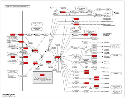 Forecasting the Pharmacological Mechanisms of Plumbago zeylanica and ...