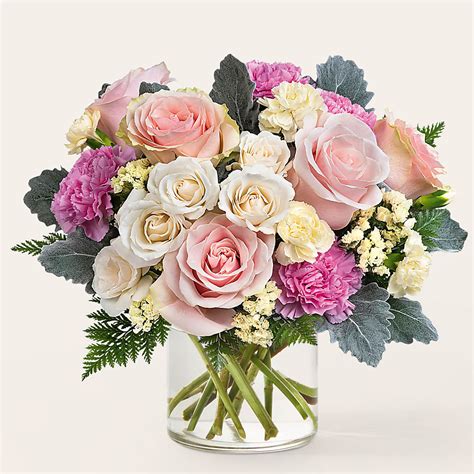 Roses & Rose Bouquets | Safeway-Safeway Floral