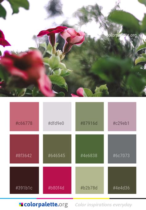 FlowerColor 的图像结果