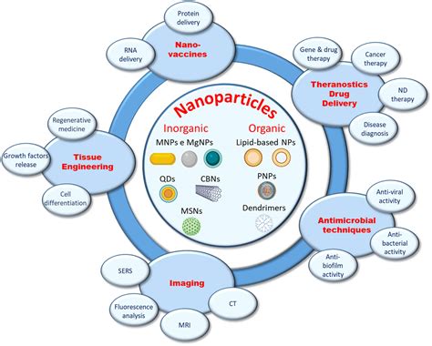 Recent developments and applications of smart nanoparticles in biomedicine