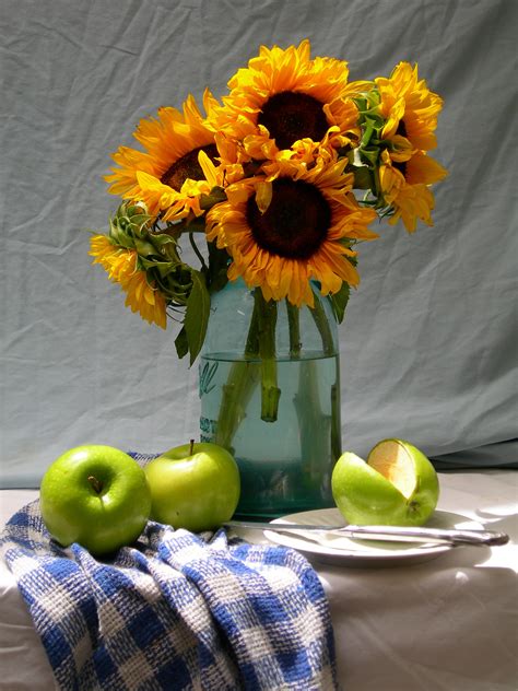 Still Life Photos Of Flowers at Lois Toussaint blog