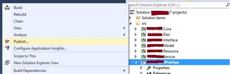 Image result for How to Host a ASP.NET Project