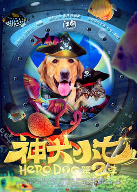 神犬小七第二季DVD版-更新更全更受欢迎的影视网站-在线观看