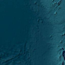 Draw a polyline Draw a polygon