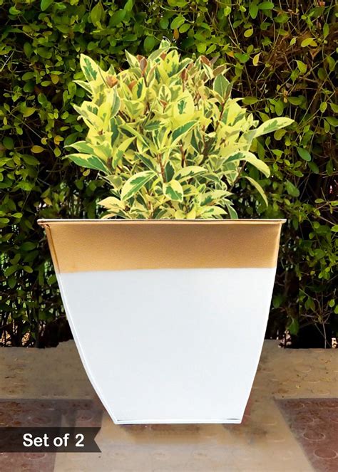 Get Small White Metal Planter with Gold Trim - Set of 2 at ₹ 899 | LBB Shop
