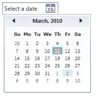 DateTimePicker WPF Visual Studio 的图像结果