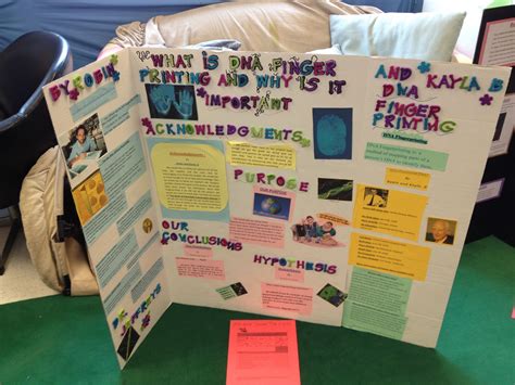 Project Work for Science 的图像结果