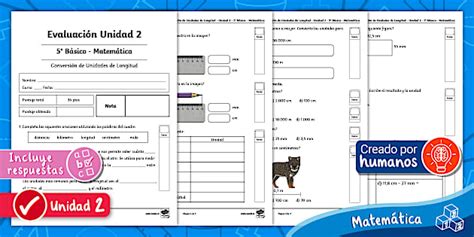 Evaluación | Unidad 2 | 5° Básico | Prueba | Longitud |cm