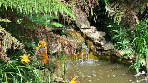 Moving Computer Wallpaper 的图像结果