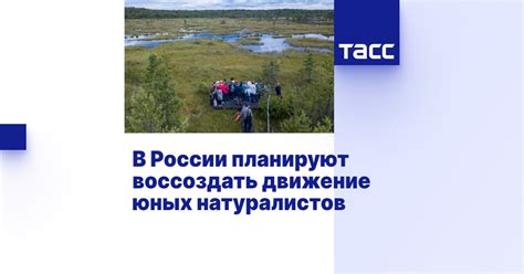 В России планируют воссоздать движение юных натуралистов