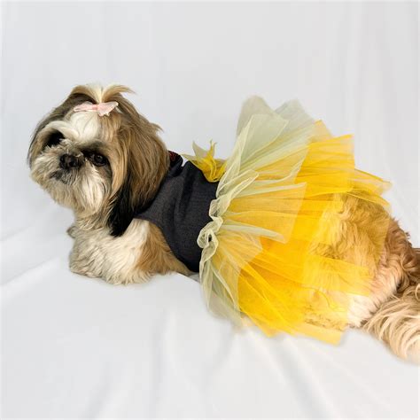 Buy Denim Frill Dog Dress Online at Pawgy Pets