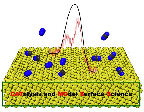 CSIR-National Chemical Laboratory Faculty