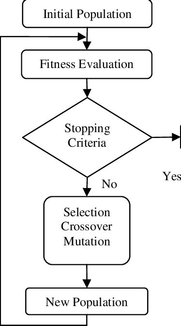 Generating Algorithm Equation 的图像结果