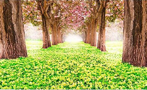 WallSkin Interior Non-Woven Washable 3D Wallpaper Size 5 x 5 (25 Sqft ...