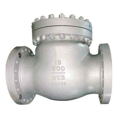 Image result for Check Valve