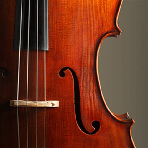 Image result for Orchestral Stringed Instruments