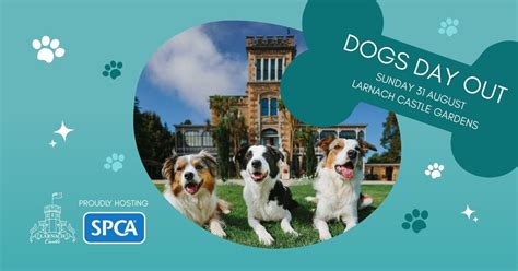 Dogs Day Out, 145 Camp Road, Dunedin, New Zealand 9077, 30 August to 31 ...