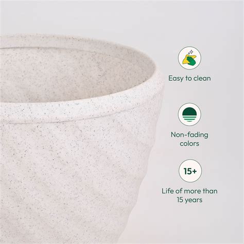 Buy Euro Plastic Large Planter Online | Durable & Elegant | Ugaoo