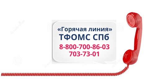 Медицинская помощь по ОМС СПб ГБУЗ «Городская поликлиника № 99».