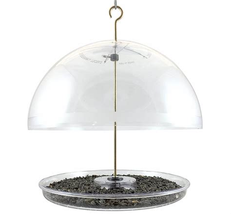 The 4 Blue Jay Feeders Working Best For Me (2022) - Bird Watching HQ