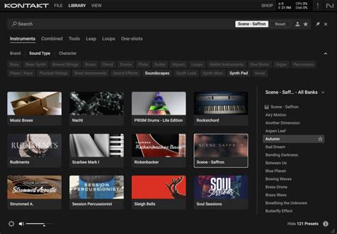 Image result for Native Instruments Saffron