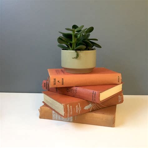 Image result for 3 Book Stack Rust Color