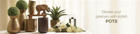 Explore Pots Collection for Home Decor Online | Pure Home & Living