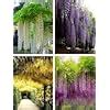 Buy brown leaf® (Set of 6 Artificial Fake Flowers Vine Silk Wisteria ...