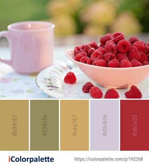 Image result for Raspberry Color Palette