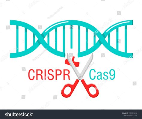 DNA Editing 的图像结果