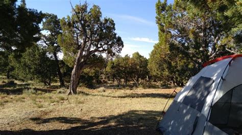 DESERT VIEW CAMPGROUND (Grand Canyon Village) - Campground Reviews ...