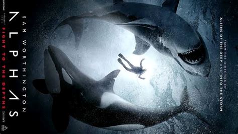 虎鲸VS大白鲨电影《阿尔法》重磅来袭 - 哔哩哔哩