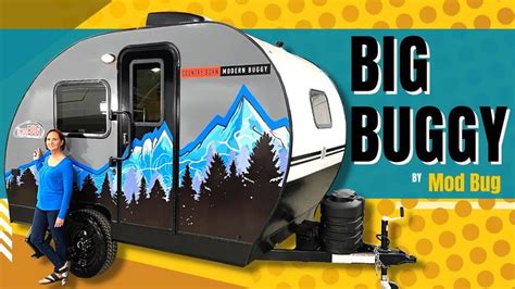 Image result for Mod Bug