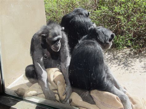 Image result for Spring Break 2016 Competition