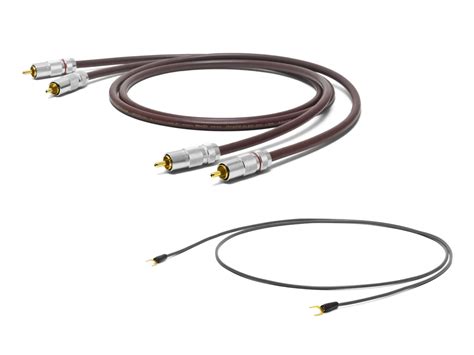 Buy Oyaide PH-01 RR Phono Interconnect Cable — The Audio Co.