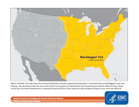 4 maps showing what ticks live in Massachusetts - masslive.com