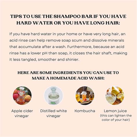 Buy Goli Soda All Natural Probiotics Shampoo Bar for Dry Hair — Vanity ...