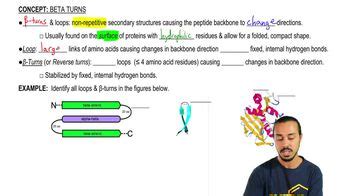 Image result for Beta Turn Structure