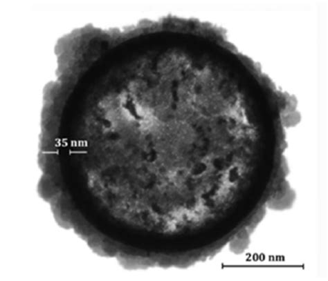 Image result for How Are Powder Formulated