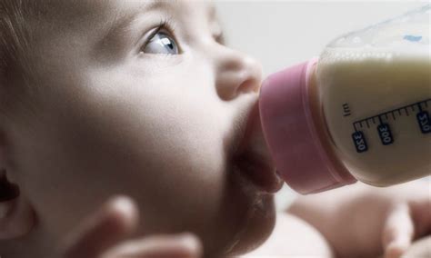 New Findings Show Milk Substitutes Improve Nutritional Status in Cow's ...