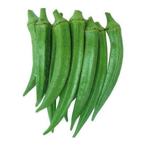 Srinivasa Agro Seeds Okra/Lal Bhindi/Lady Finger Seeds, 10 g : Amazon ...